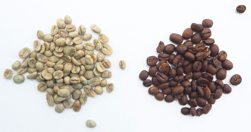 Green coffee beans next to roasted coffee beans.